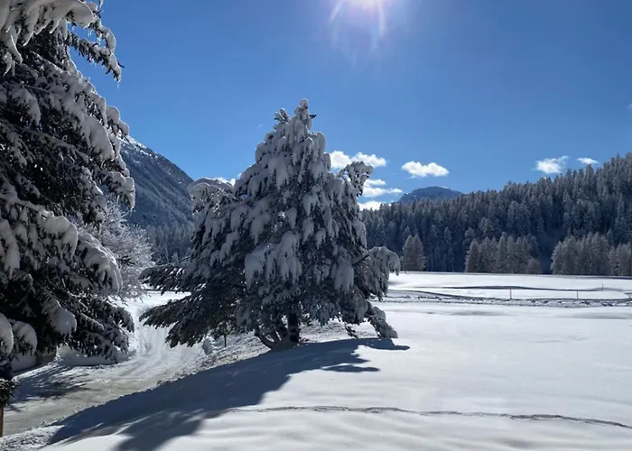 Bellavista Апартаменты